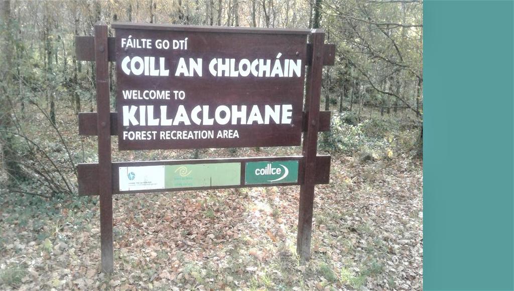 Inch View Lodge Milltown  Exteriör bild